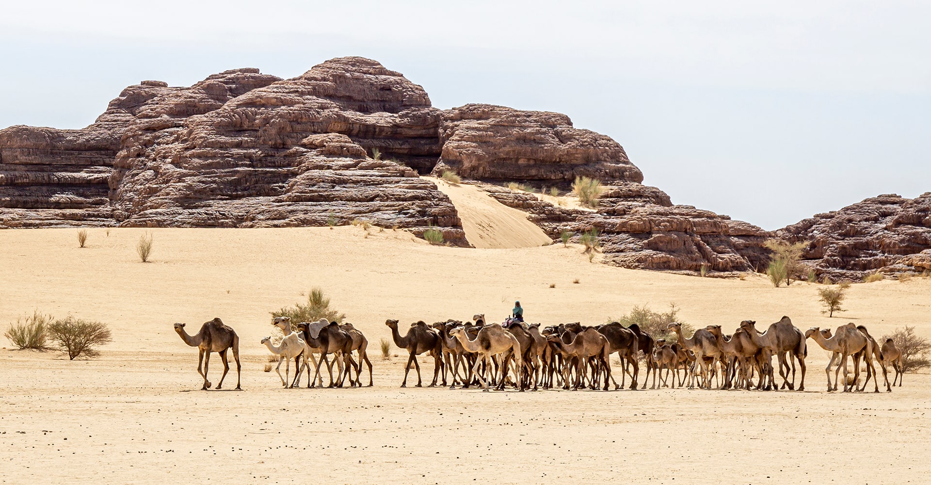 Chad Vaccinations Travel Health Advice Healthy Travel