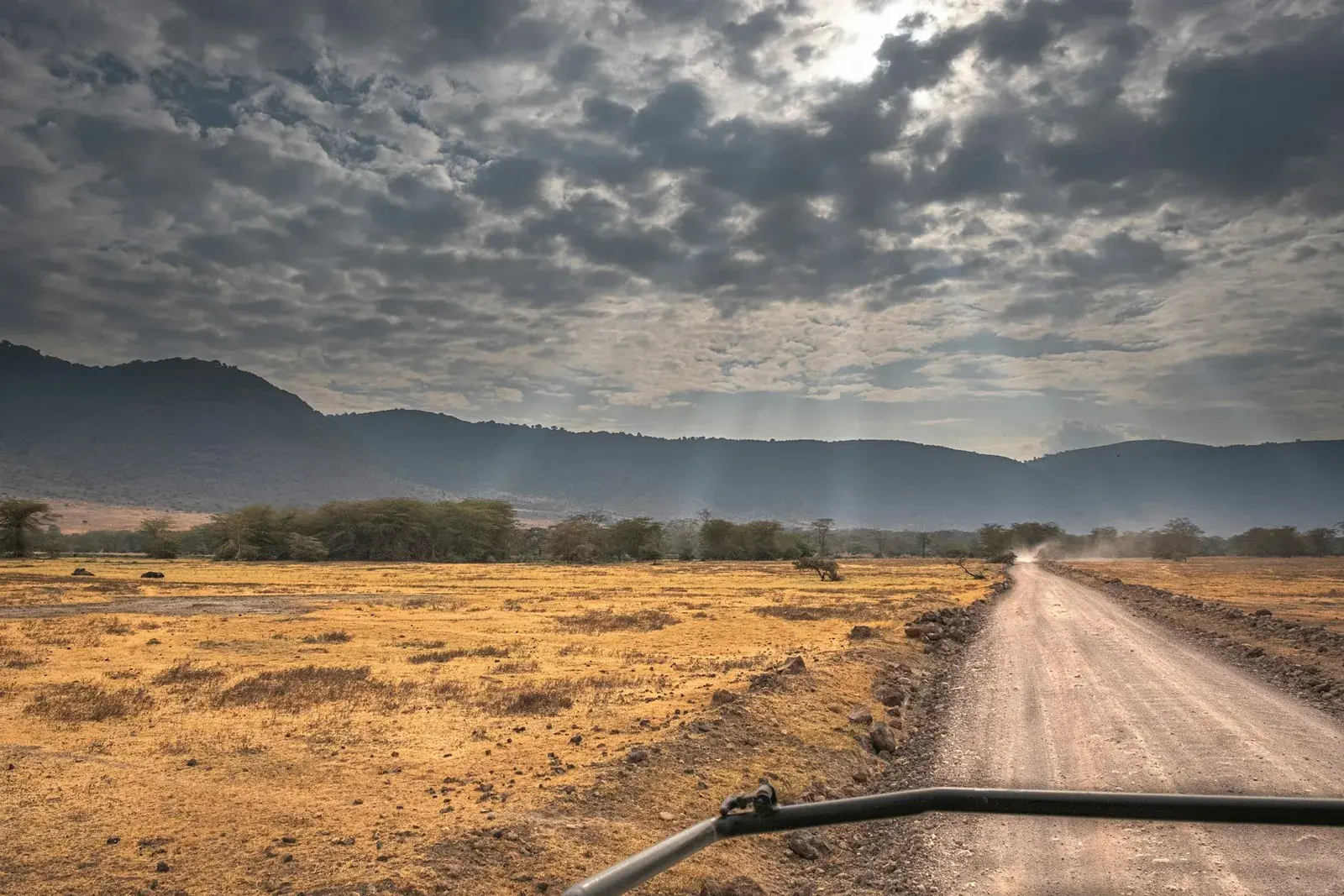 Dirt road through East African savannah under dramatic cloudy skies