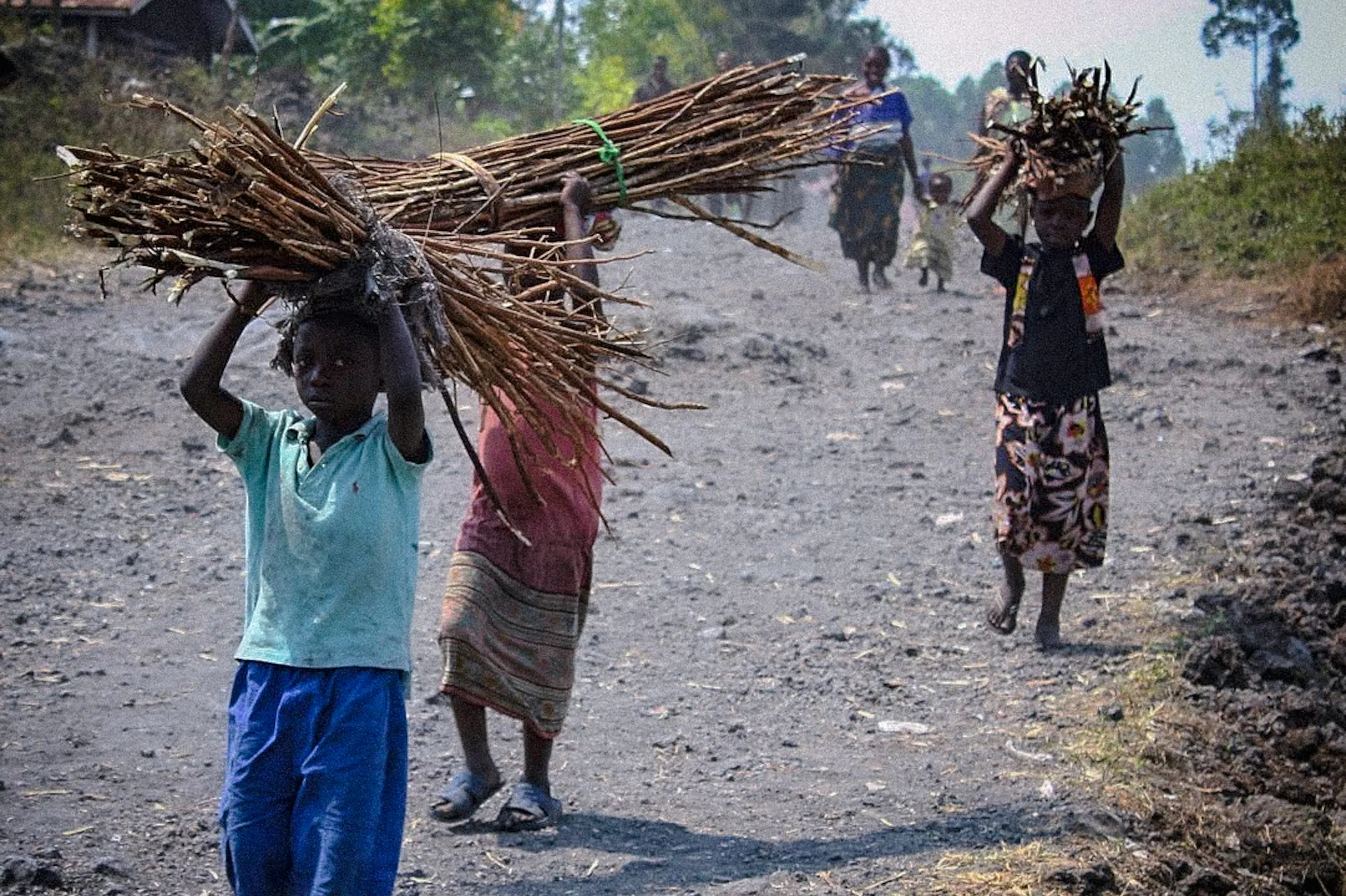Children carrying firewood on a dirt road in Bunia, Ituri Province, Democratic Republic of the Congo