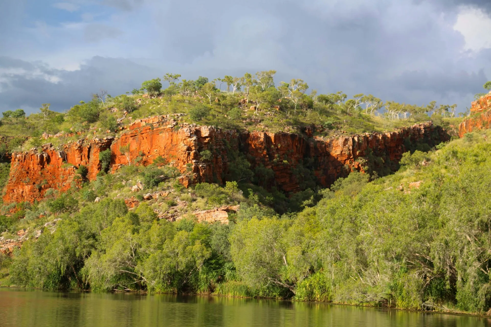 Red rock escarpment and lush green growth above a river in the Kimberley region of Western Australia during the wet season