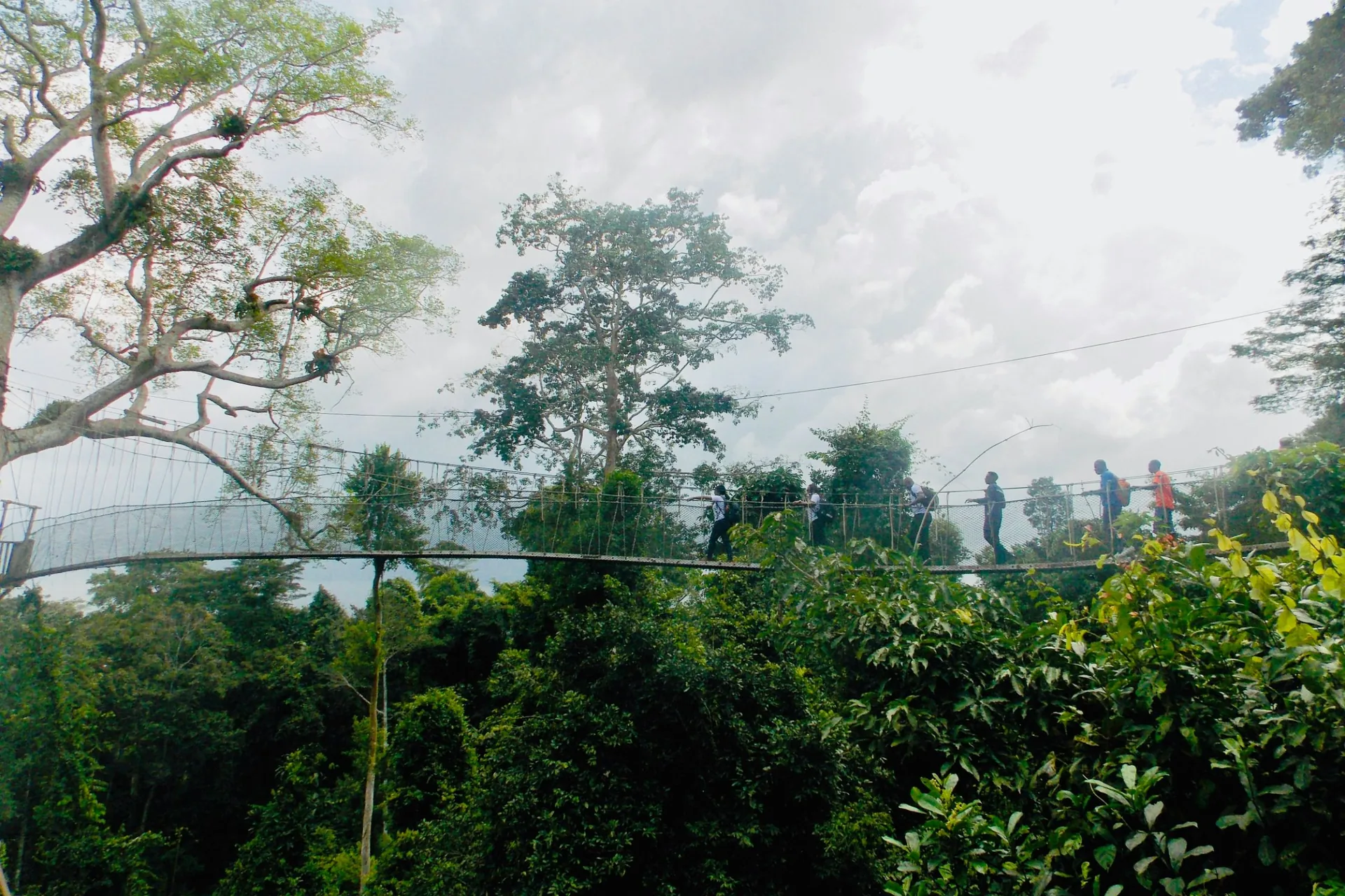 Visitors crossing the canopy walkway above the rainforest in Kakum National Park, Ghana